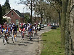 2008 Ronde van Drenthe 1.jpg