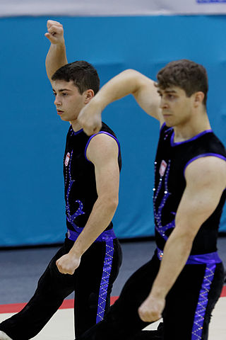 <span class="mw-page-title-main">Oskar Piotrowski (gymnast)</span> Polish acrobatic gymnast