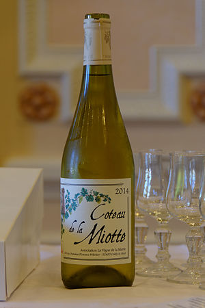 Bouteille de vin : Coteau de la Miotte.