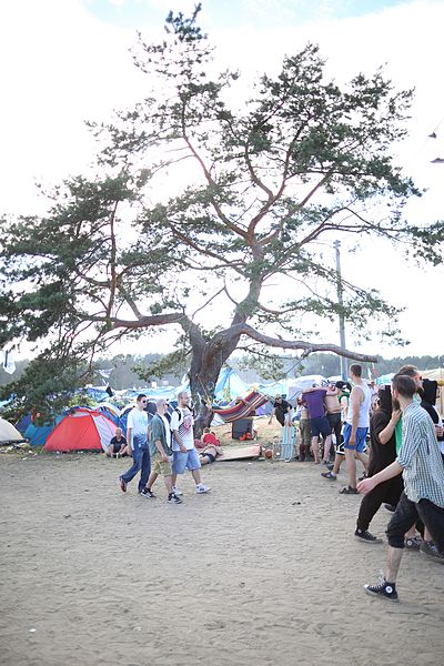File:2016 Woodstock 055 Drzewo.jpg
