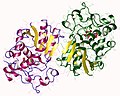 Vignette pour Bisphosphoglycérate mutase