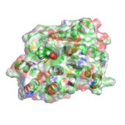 Rat catechol-O-methyltransferase bound to tolcapone. PDB entry 3s68[17]