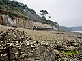 La grève et les falaises de l'enclave d'Argol : vue vers l'ouest depuis les environs de la route de Lomergat qui en permet l'accès.