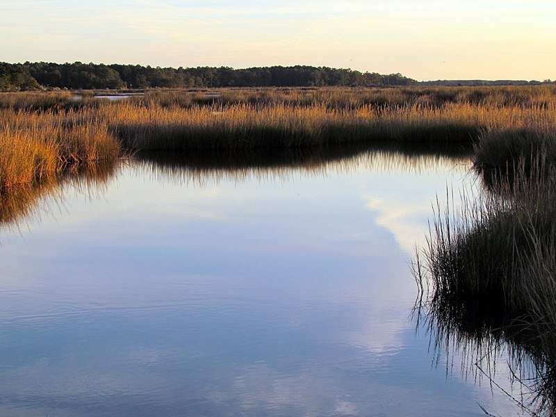 File:61 Bennetts Point RD Green Pond SC 6890 (12398461604).jpg