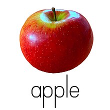 In English language education, the word apple is consistently associated with the letter A. A for apple.jpg