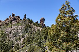 A view of the landscape surrounding Roque Nublo, Gran Canaria (52757923344).jpg