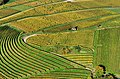 Commons:Picture of the Year/2012/R1/Aerial View - Landschaft Markgräflerland1.jpg