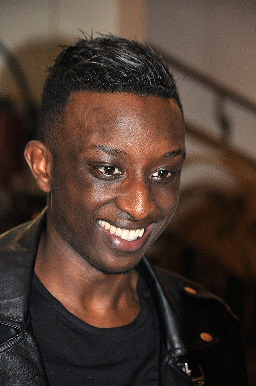 Ahmed Sylla - Petit palais des glaces