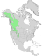 Alnus incana ssp tenuifolia USGS range map.png