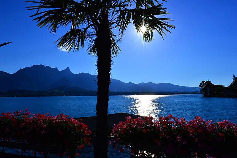 File:Am Hafen von Oberhofen am Thunersee.jpg