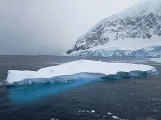 <span class="mw-page-title-main">Andvord Bay</span> Bay in Antarctica