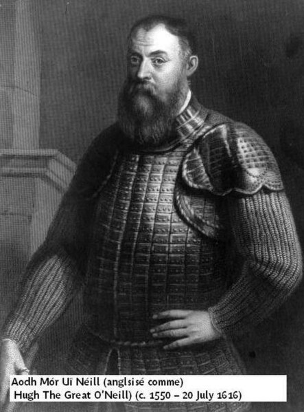 Hugh O'Neill, who led the Irish rebellion against the English.