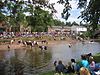 Foire aux chevaux Appleby.jpg