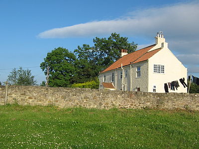 Archdeacon Newton