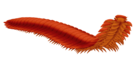 Arthropleura reconstruction.png