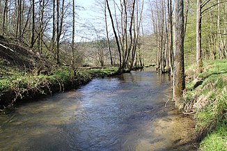 The Aubach after the mouth of the Lohrbach, north of Krommenthal