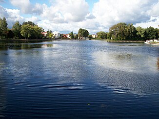 The Netta in Augustów