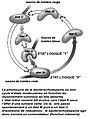 Vignette pour la version du 17 mai 2011 à 16:15