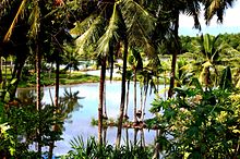 Fish ponds in Badian Badian Fish Pond.jpg