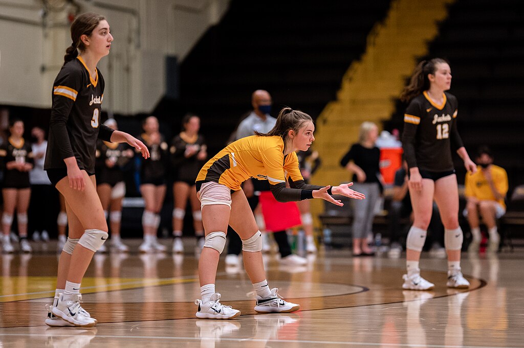 Baldwin Wallace Yellow Jackets Volleyball (51539305835)