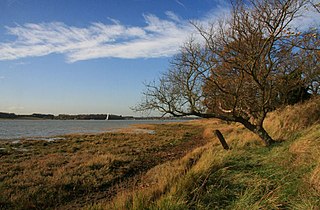 <span class="mw-page-title-main">River Orwell</span> River in Suffolk, England