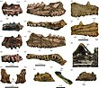 Barbaturex morrisoni fossil jaws.jpg