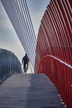 Bari - Il Ponte Adriatico Autore: Giuliano Tamborra Licenza: CC BY-SA 4.0