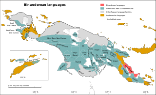 Greater Binanderean languages