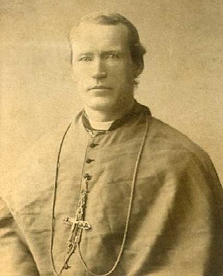 <span class="mw-page-title-main">James Ryan (bishop)</span> Irish-born prelate