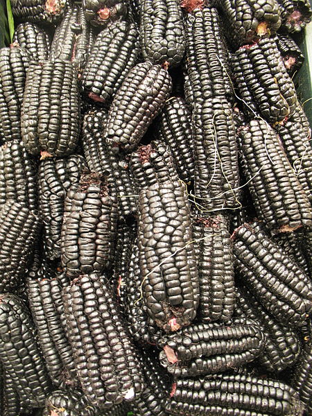 File:Black corn.jpg