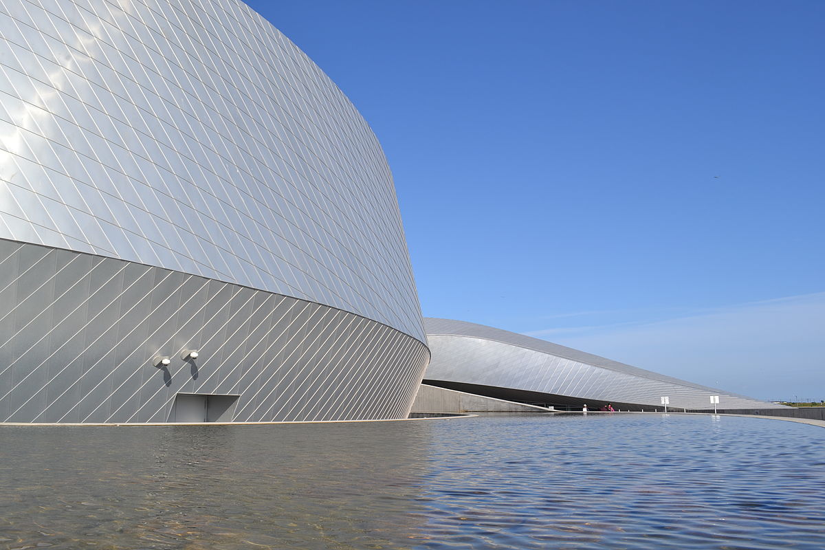 I hele verden parti positur National Aquarium Denmark - Wikipedia