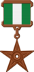 BoNM - Nigeria Hires.png