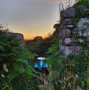 Moth trapping at Bosigran Smelting Works, Cornwall