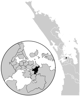 <span class="mw-page-title-main">Botany (New Zealand electorate)</span> Electoral district in Auckland, New Zealand