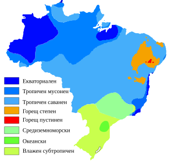 Бразилия: Произход на името, География, История