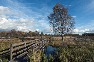 <span class="mw-page-title-main">Flanders Moss</span> Area of raised bog lying in the Carse of Stirling, Scotland.