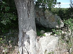 Illustrasjonsbilde av artikkelen Dolmen de Chantepierre