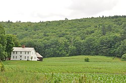 BucklandMA WilderHomestead.jpg 