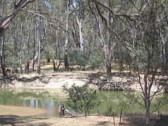 Bullanginyah Lagoon on the edge of the national park near Barooga