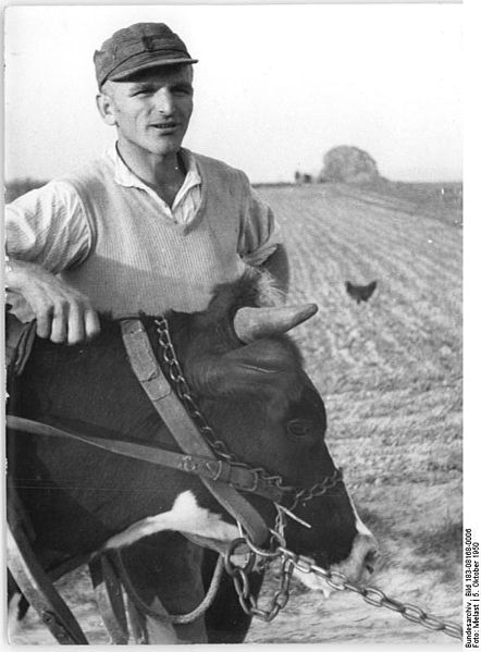 File:Bundesarchiv Bild 183-08168-0006, Wehlen, Kandidat zu den Volkswahlen.jpg