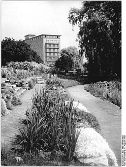 Bundesarchiv Bild 183-94734-0002, Rostock, Botanischer Garten, Haus der Hochseefischer