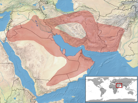 Bunopus tuberculatus distribution.png