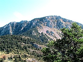 CAP DEL VERD - LA COMA - IB-142.JPG