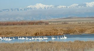 Camas National Wildlife Refuge