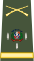 Capona de Coronel Ejercito Nacional.svg