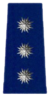 Captain - Chief Inspector of Police (MPS OF-2).png