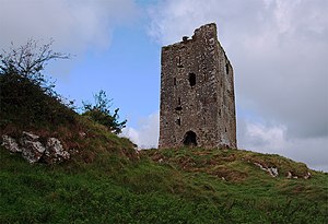 The ruins of Rockstown Castle 2009