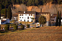 A winery in Torrelavit