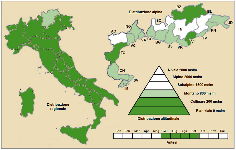 File:Centaurea solstitialis solstitialis - Distribution Italy.PNG
