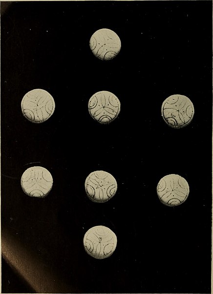 File:Chess and playing cards (1898) (14598178797).jpg